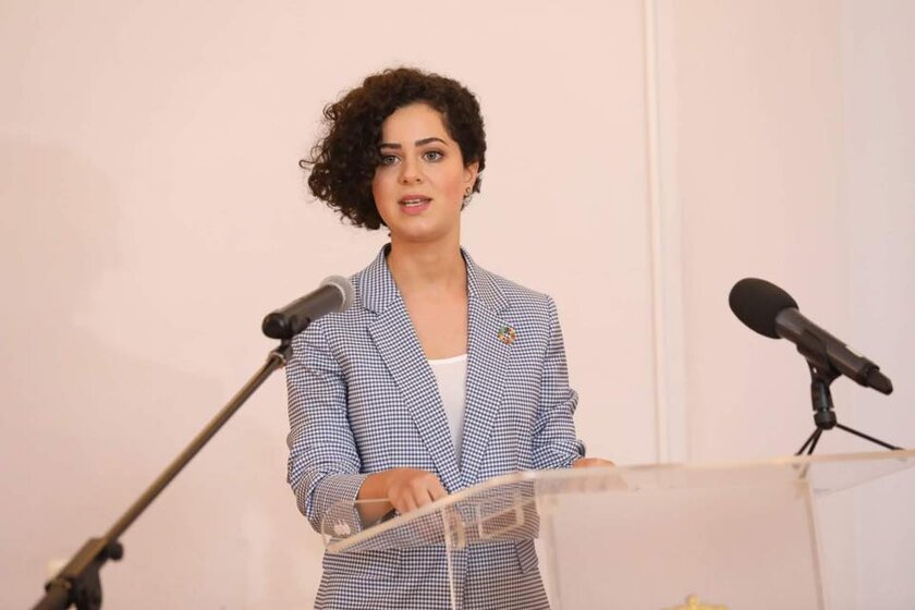 Photo of Torikashvili speaking at the Ministry of Education, Science, Culture and Sports of Georgia