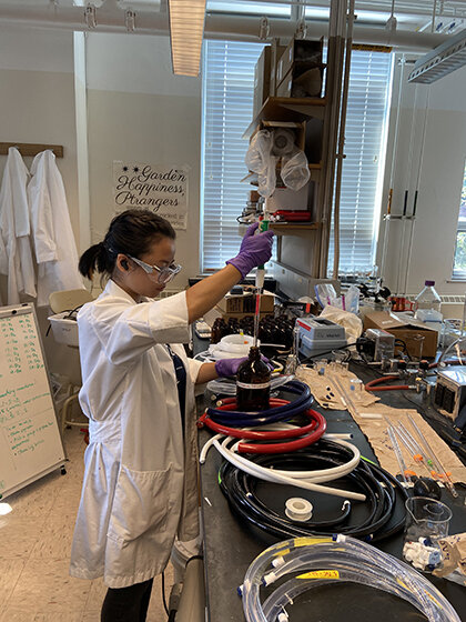 Image of woman in lab
