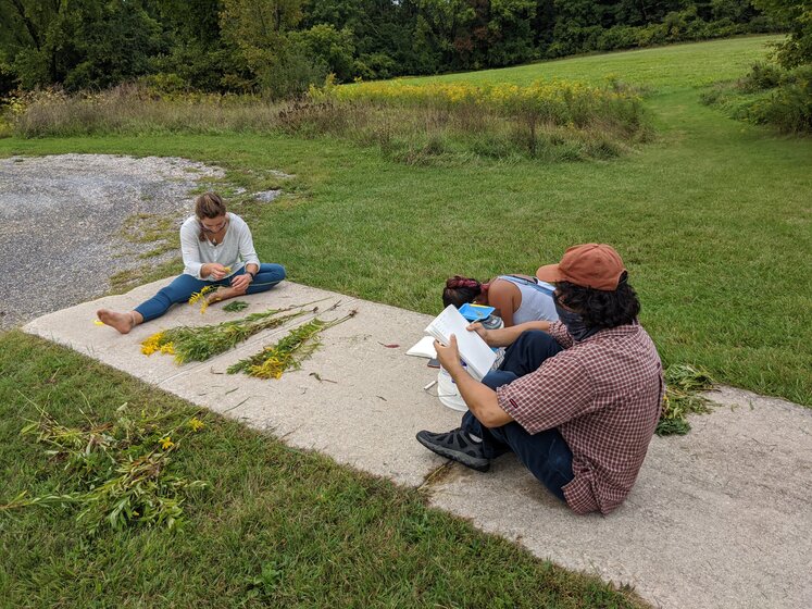 Image of students doing field research