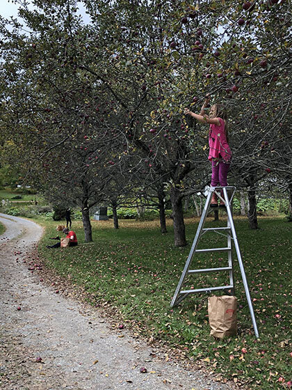 Image of child picking apples