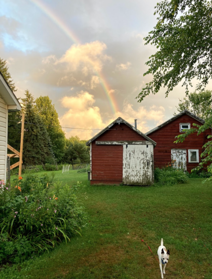 Image of rainbow over farm