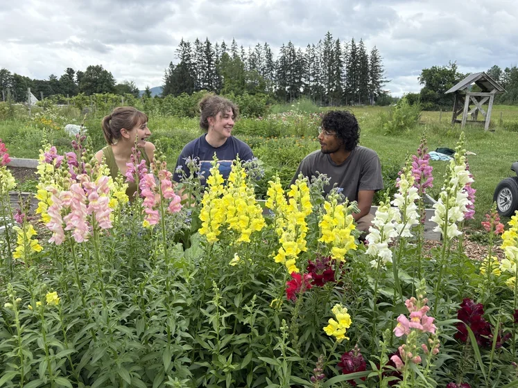 Students on farm in flower patch