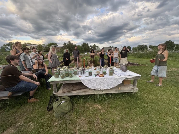 An outdoor dinner at Purple Carrot Farm
